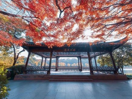 Recommended Spots to See West Lake's Fall Colors