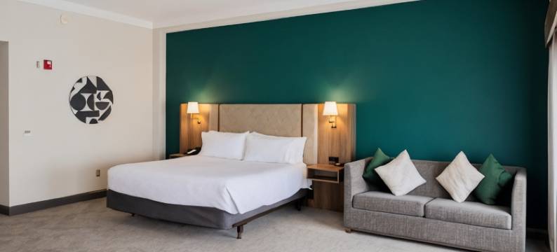 Holiday Inn 梅肯北(Holiday Inn MACON NORTH by IHG)图片