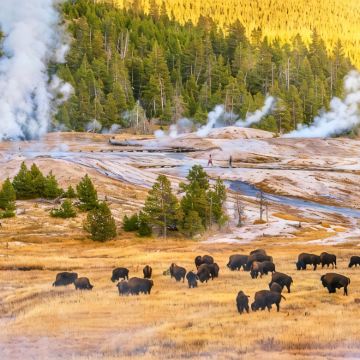 肯尼亚+坦桑尼亚11日9晚自由行