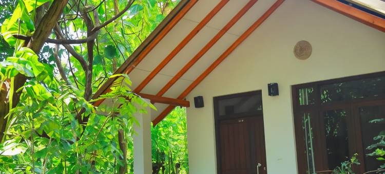 锡吉里亚帕尔迈拉自然度假村(Palmyra Nature Resort Sigiriya)图片