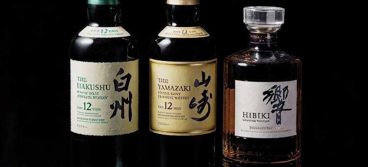 白马东急酒店(Hakuba Tokyu Hotel)图片