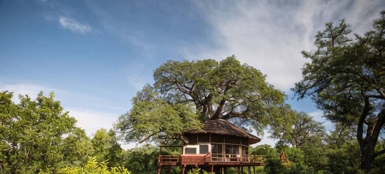 艾勒瓦纳塔兰吉尔树顶酒店(Elewana Tarangire Treetops)图片
