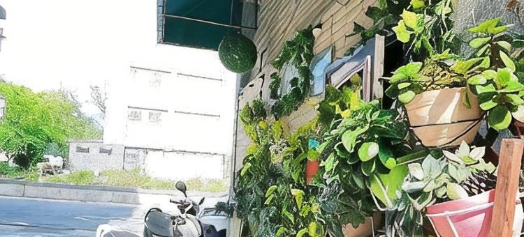 亲爱的民宿图片