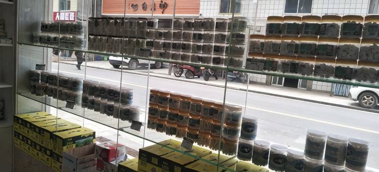 城步南山公园酒店图片