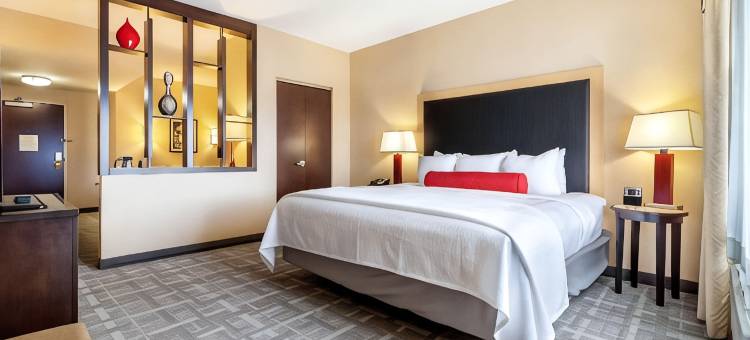 匹兹堡-市中心坎布里亚酒店(Cambria Hotel Pittsburgh - Downtown)图片