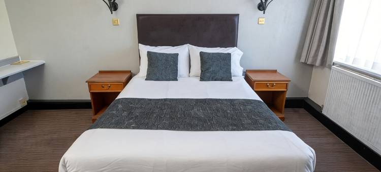 韦洛酒店(Wellow Hotel)图片