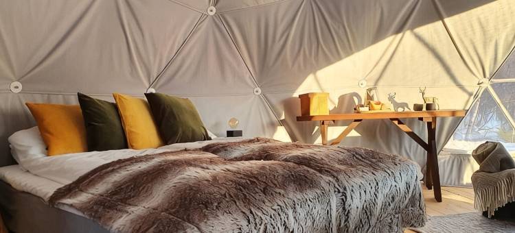 加尔吉亚旅馆(Gargia Lodge)图片