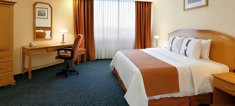 Holiday Inn 墨西哥城大理机场(Holiday Inn MEXICO DALI AIRPORT by IHG)图片