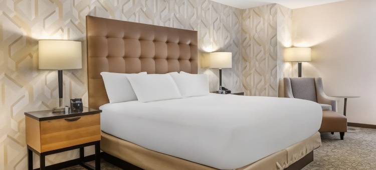 圣路易斯西南德鲁里套房酒店(Drury Inn & Suites St. Louis-Southwest)图片