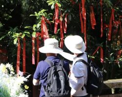 Explore Mount Qingcheng with "Eight Immortals!" stub, lucky red bracelet