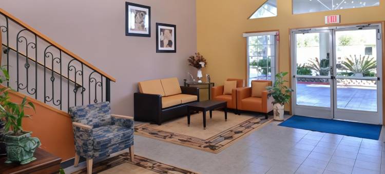 马德拉美洲最佳价值套房酒店(Americas Best Value Inn and Suites Madera)图片