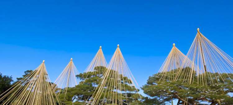 WING国际酒店-⾦泽站前(Hotel Wing International Premium Kanazawa Ekimae)图片