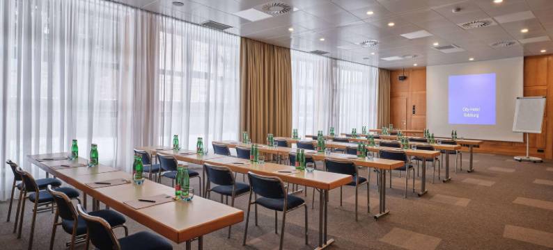 萨尔茨堡多林特城市酒店(Dorint City-Hotel Salzburg)图片