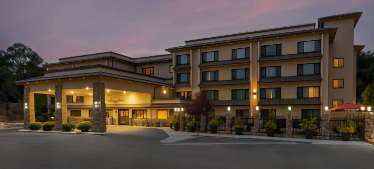 优胜美地南门套房酒店(Yosemite Southgate Hotel & Suites)图片