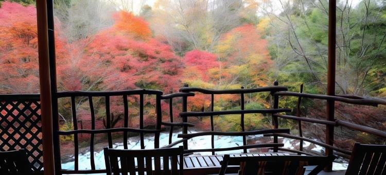 赤石温泉(Akaishi Onsen)图片