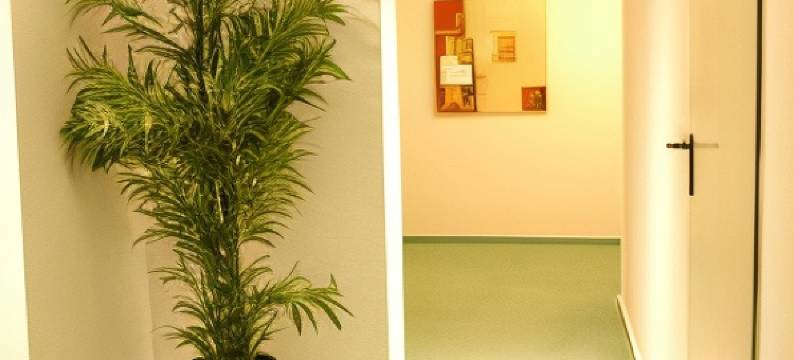 普劳公寓旅馆(Apart Pension Plaue)图片