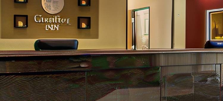 布尔什瑞昂舒适酒店(Comfort Inn)图片