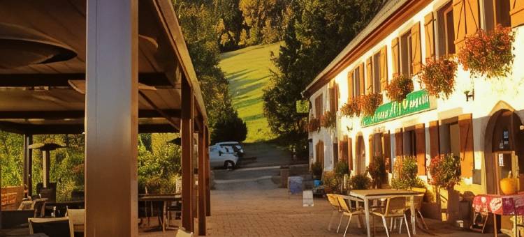 黄金蓓蕾酒店(Le Bouton d'Or)图片