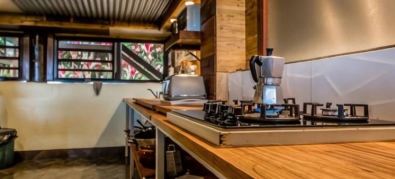 杰卡卢树屋雨林休闲旅馆(Jackaroo Treehouse Rainforest Retreat)图片