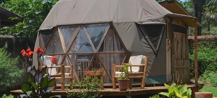 金加背包客(Jinja Backpackers)图片