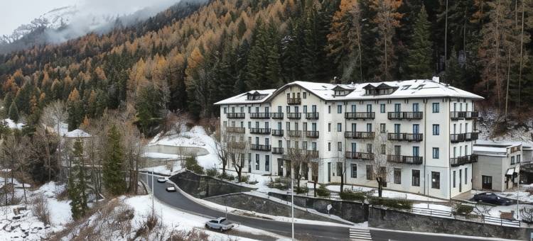 莱尼奥桥皇宫酒店(Palace Pontedilegno Resort)图片