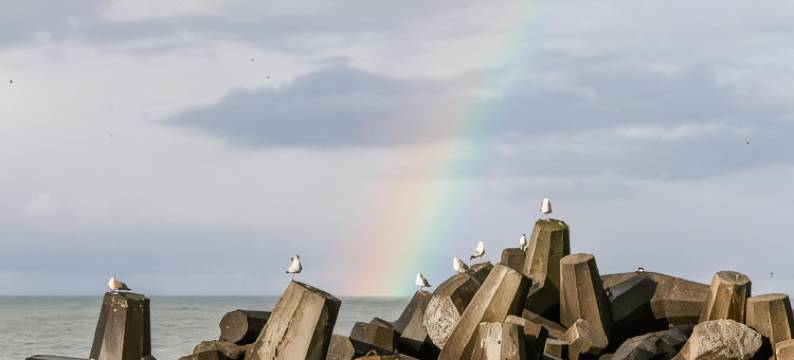 莱姆维住宿加早餐旅馆(Bed and Breakfast Lemvig)图片