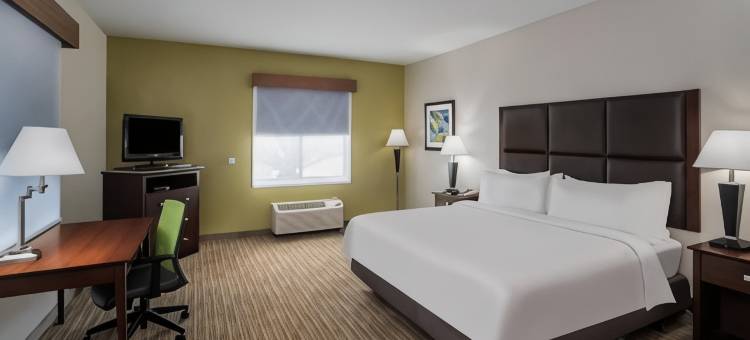 智选假日套房酒店海恩斯维尔(Holiday Inn Express & Suites Hinesville East - Fort Stewart)图片