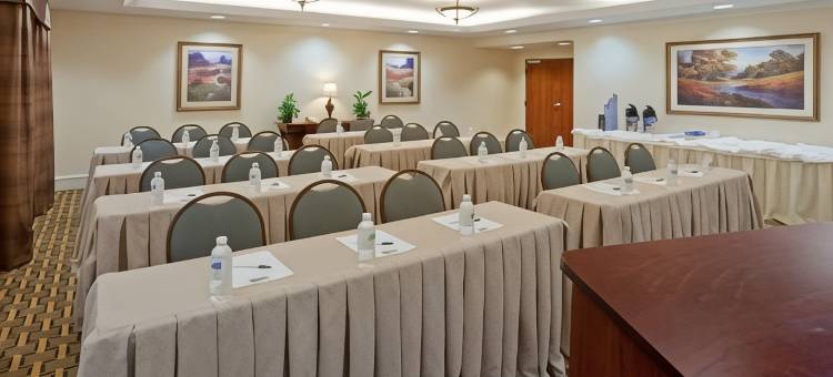 智选假日套房酒店沃克西哈奇 by IHG(Holiday Inn Express & Suites Waxahachie)图片