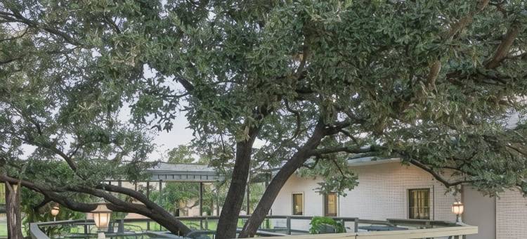 凯艺酒店(Quality Inn)图片