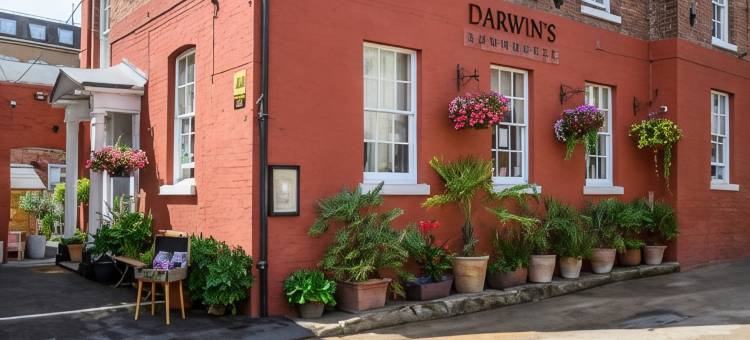 达尔文联排别墅(Darwin's Townhouse)图片