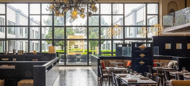 托卢卡机场万怡酒店(Courtyard Toluca Airport)图片