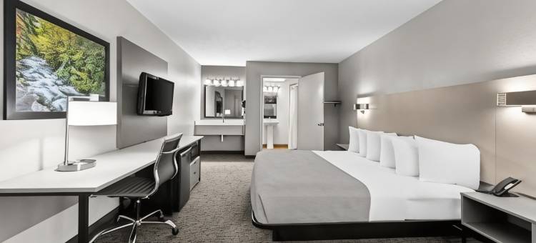 凯艺套房酒店-多雷伍道(Quality Inn & Suites at Dollywood Lane)图片