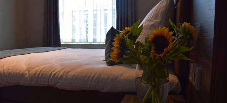 阿尔马达酒店(OZO Hotels Armada Amsterdam)图片