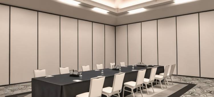 本德南希尔顿花园酒店(Hilton Garden Inn South Bend)图片