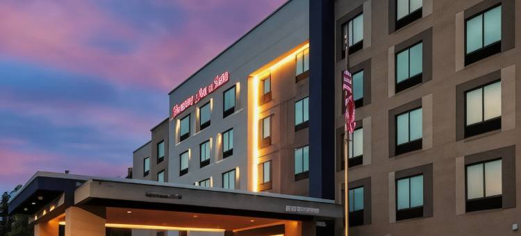 欢朋酒店与套房印第安纳波利斯阿文(Hampton Inn & Suites by Hilton Avon Indianapolis)图片