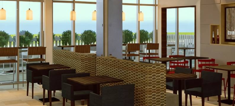 底特律西北智选假日套房酒店-利沃尼亚(Holiday Inn Express & Suites DETROIT NORTHWEST - LIVONIA by IHG)图片