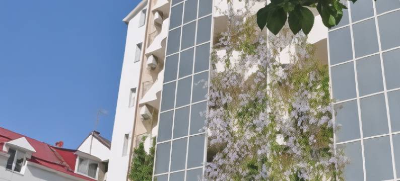 乌玉特豪华酒店(Hotel Grand Uyut)图片