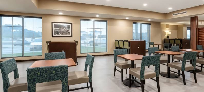 埃姆斯爱荷华州立大学校园附近舒适套房酒店(Comfort Inn and Suites Ames Near Isu Campus)图片
