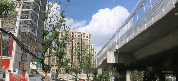 合肥茉䒩旅馆图片