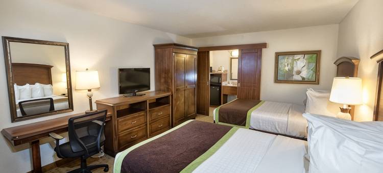 奥兰多布纳维斯塔湖罗森酒店(Rosen Inn Lake Buena Vista)图片