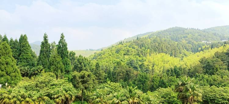 永泰县岭路乡云悦山庄图片