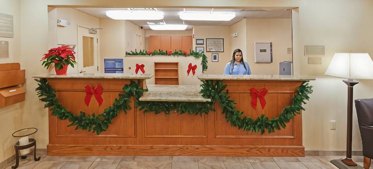 Candlewood Suites 斯托克顿堡by IHG(Candlewood Suites FORT STOCKTON by IHG)图片