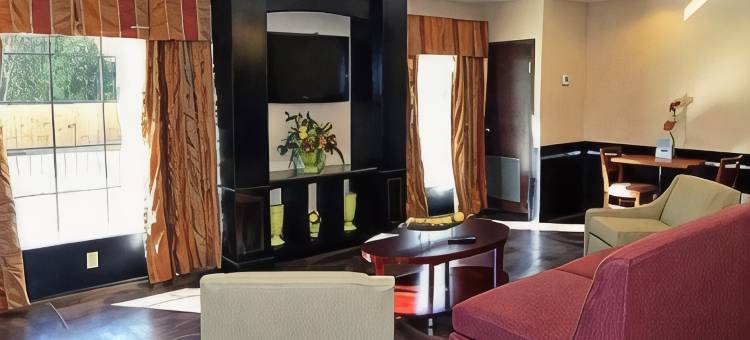 萨尔弗 - 查尔斯湖舒适套房酒店(Comfort Suites Sulphur-Lake Charles)图片