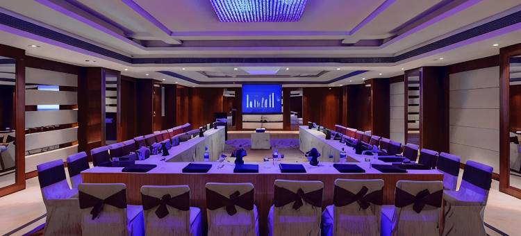 洛茲广场酒店(Lords Plaza Jaipur)图片