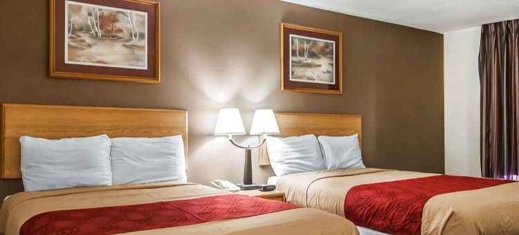 伊克诺套房酒店(Econo Lodge Inn and Suites - Jackson)图片