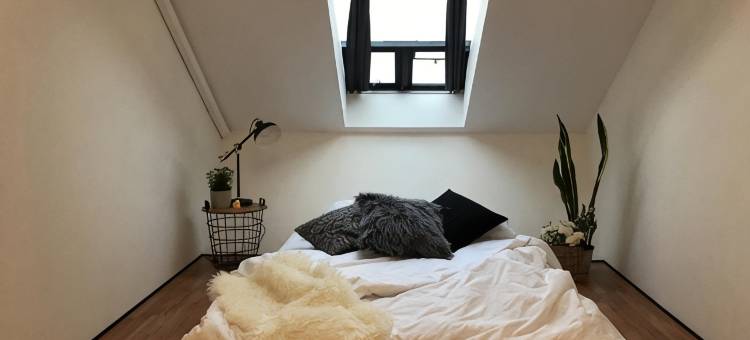 拉马里拉旅舍(La Malila Hostel)图片