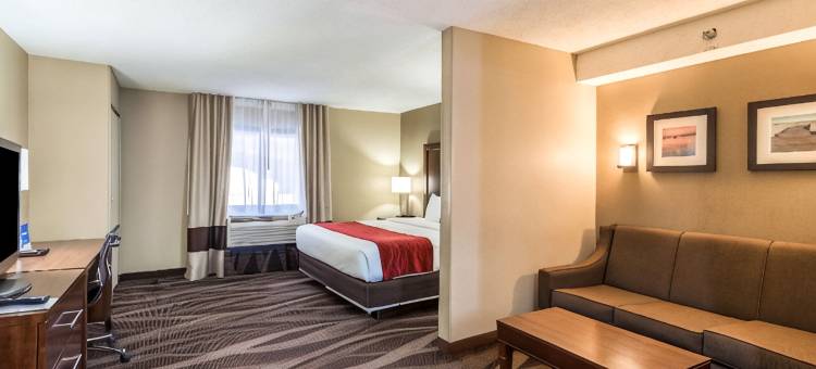 舒适酒店-彭沙科拉大学区(Comfort Inn Pensacola - University Area)图片