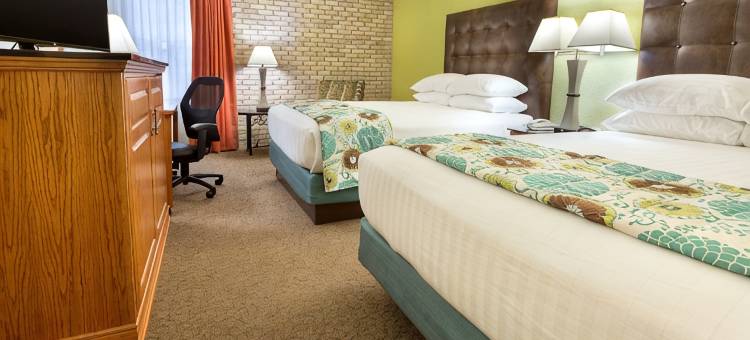 迈克艾伦德鲁里套房酒店(Drury Inn & Suites McAllen)图片