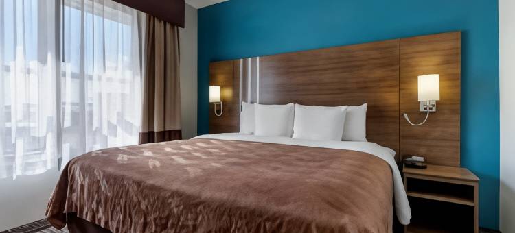 I-35东核桃山凯艺套房酒店(Quality Inn & Suites I-35 E-Walnut Hill)图片