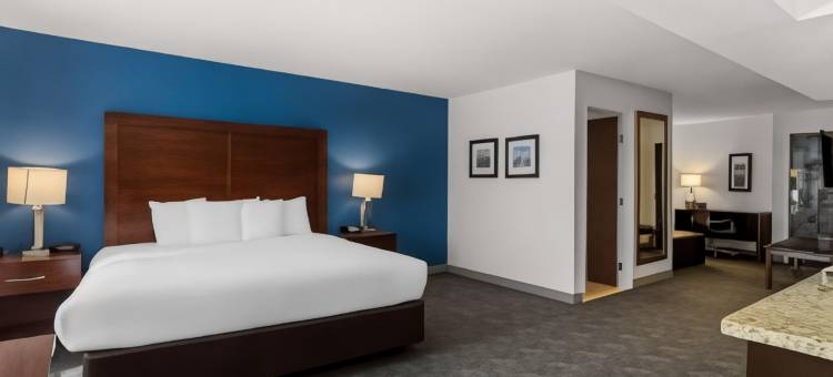 廷利帕尔克圆形剧场舒适套房酒店(Comfort Inn & Suites Near Tinley Park Amphitheater)图片